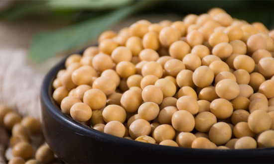 大商所豆系三期权上市一周年 交易规模稳步扩大