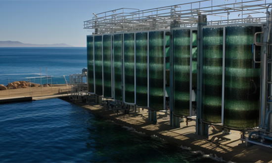 2023年中国海水利用行业市场全景分析报告