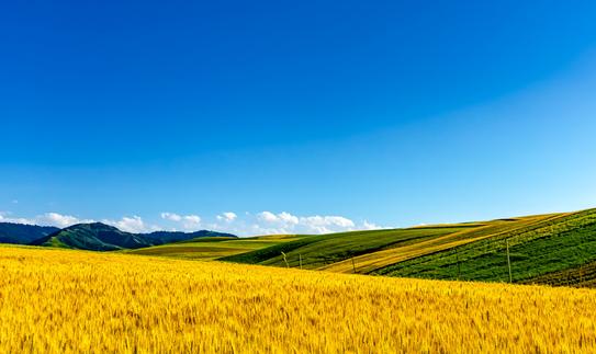 高效农业行业发展现状如何？ 2023年中国高效农业行业市场调研