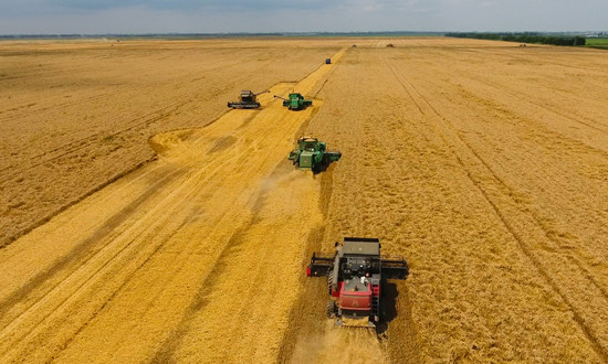 国内外小型农机具行业竞争差距分析：我国在国际市场上的占有率并不高