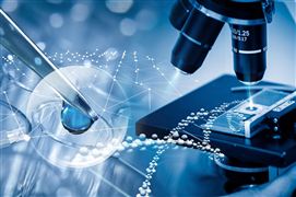 口服玻尿酸可改善皮肤屏障功能 玻尿酸食品应用场景空间