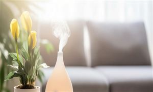 空气加湿器行业市场深度分析报告：空气加湿器量额双增长 超声波类型仍是市场主流