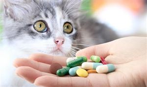 全球宠物药品市场龙头份额高度集中 宠物药品行业总体规模分析