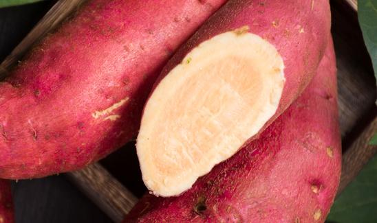 2023年中国红薯食品市场调研分析：红薯市场规模巨大，未来前景也十分广阔