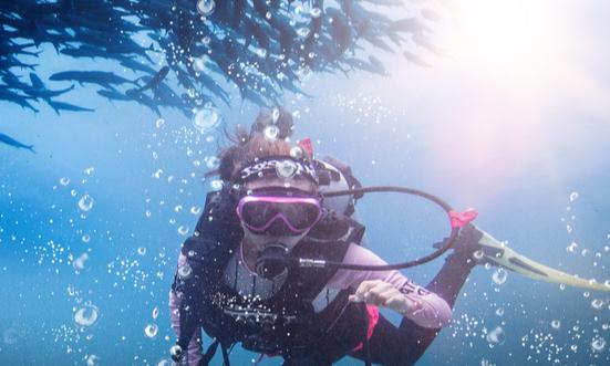 潜水运动的活跃带动潜水装备需求快速提升 潜水装备市场规模分析