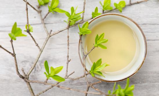 茶多酚市场未来发展潜力无限 茶多酚行业市场发展现状分析2023