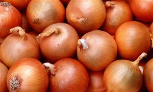 禁止大米出口后 印度又宣布对洋葱出口征收关税 洋葱行业市场深度调研与发展规划