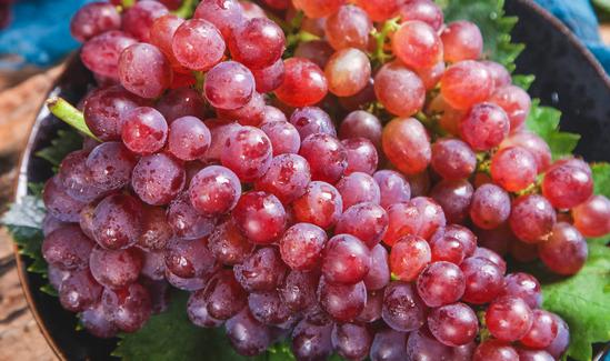 2023年中国红提市场发展现状分析 发展前景广阔