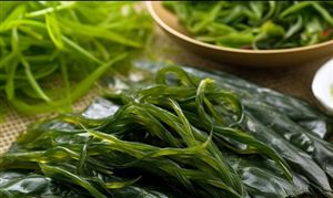 “中国海带之乡”产值高达40亿元 2023年海带行业发展现状分析