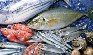 价格腰斩这些海鲜 一斤便宜近百元 海鲜水产市场供需投资分析