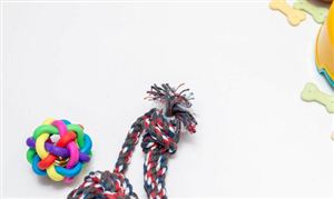 2023年中国宠物用品行业发展现状分析