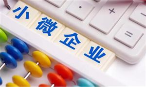 共同推动中小微企业在数字时代创新发展 2023小微金融行业市场前瞻与未来投资