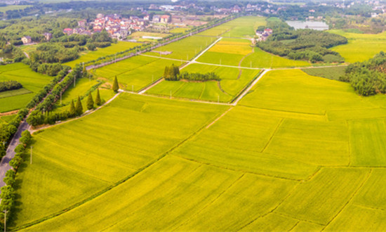 农村社会养老保险行业发展趋势及市场现状分析