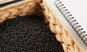 黑色金属行业市场分析 8月中旬流通领域黑色金属价格全面下跌