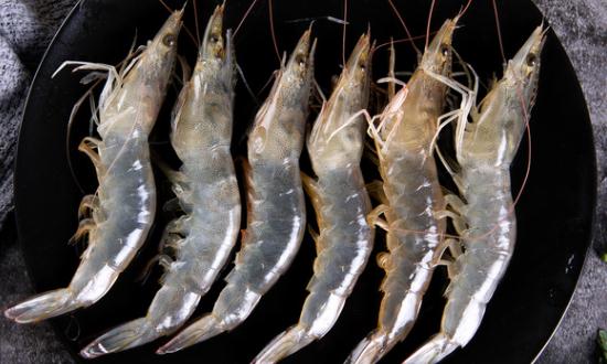 淡水养殖虾行业分析：2023年淡水养殖虾市场前景与现状