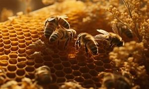 2023年中国蜜蜂养殖行业发展现状：全国蜜蜂养殖行业企业注册量整体呈正增长态势