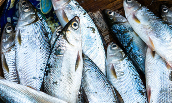 水产品批发市场分析 水产品批发行业市场前景分析