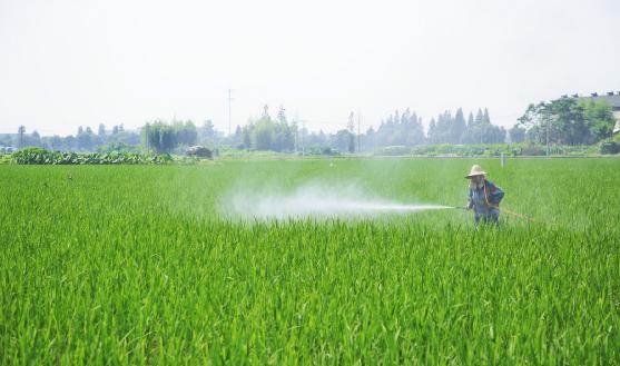 生物杀虫剂有哪些明显的优势?生物杀虫剂行业发展分析
