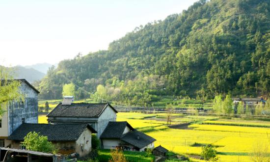 2023自然教育行业发展与市场前景趋势分析