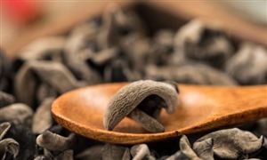 国内食用菌行业前景如何?2023食用菌行业研究报告