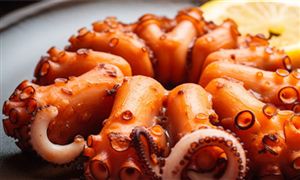 迎来开渔尝鲜季 福建开渔后一大批海鲜陆续上市 线上线下热卖