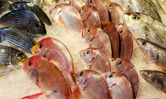 淡水鱼苗进口如何及淡水鱼养殖相关企业发展分析