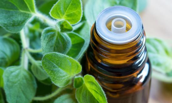 乙基香兰素行业需求巨大 乙基香兰素行业应用前景分析