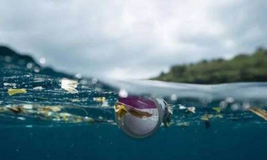 生态环境部：谋划推进重点入海排污口整治等五项行动 海洋生态环境状况稳中趋好