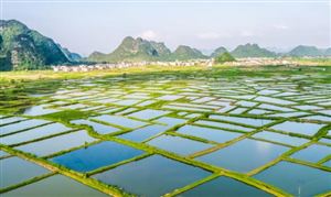 2023生态农业行业发展前景 生态农业发展空间将得到进一步深化发展