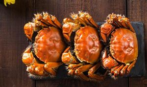 安徽蟹企数量达6800多家 2023年中国河蟹养殖行业发展想现状分析