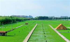 中国生态农业行业发展前景及投资