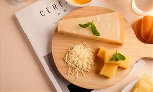 奶酪行业市场企业竞争格局 2023奶酪行业现状调研