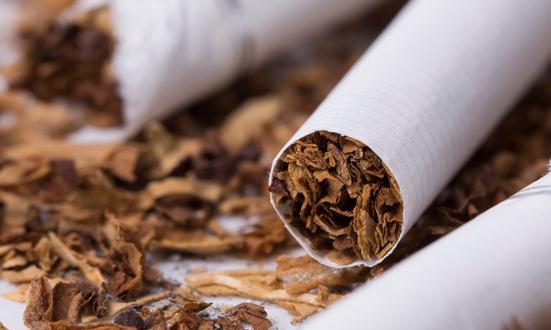 烤烟市场现状及前景分析2023