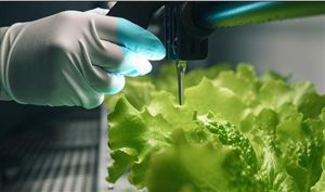 水培蔬菜市场需求攀升 2023年中国水培蔬菜行业发展现状