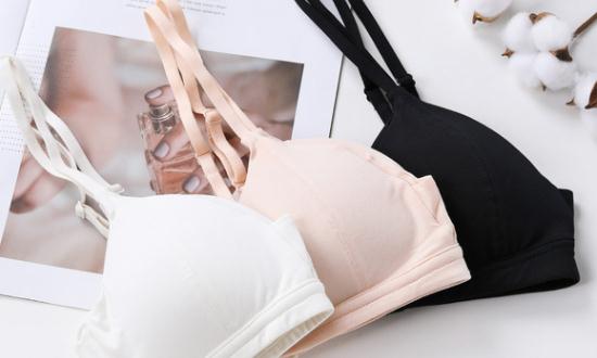 女性内衣市场需求与发展趋势分析报告2023