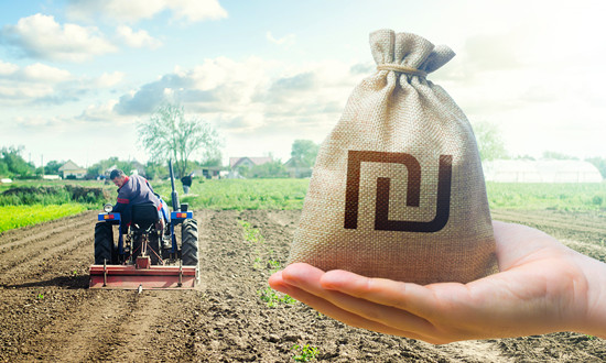 中国农业银行发布2023年中期业绩 信贷投放呈现三大特点