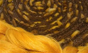 桑蚕养殖行业现状及行业政策环境分析2023