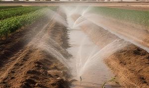 2023年中国节水灌溉行业发展现状分析