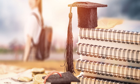 留学服务行业市场机遇全面调研分析2023