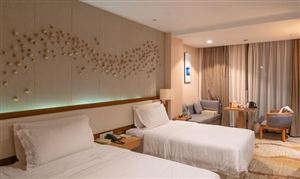 中国经济型酒店行业发展现状 经济型酒店行业未来发展趋势分析