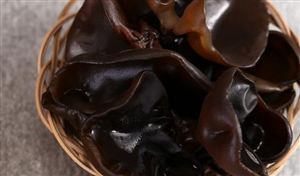 2023年黑木耳行业发展现状分析 我国西部地区规模增长较快