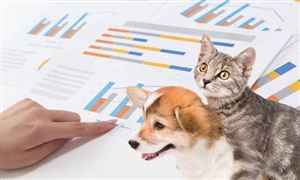 宠物保险连续两年保单增速维持80%以上 宠物保险行业发展前景及市场投资