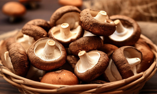 2023年蘑菇提取物行业市场分析及应用前景