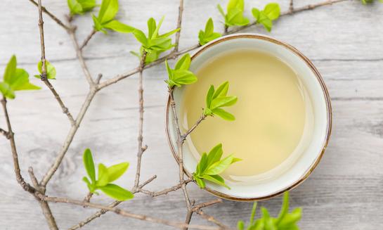 全球茶多酚市场规模将达到24.96亿元 2023年茶多酚行业发展现状