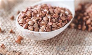 2023年7月中国宠物食品的出口金额为8.01亿元 宠物用品为8.07亿元