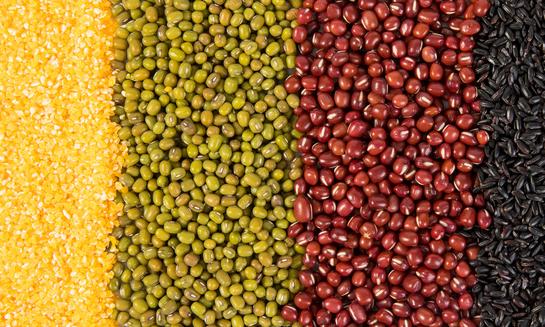 加快现代化技术推广 提高粮油产量 2023年中国粮油行业发展分析