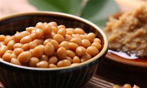 2023纳豆行业发展分析 未来纳豆市场规模预测