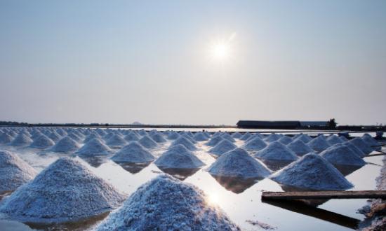 水溶性肥料行业发展现状及发展前景分析2023