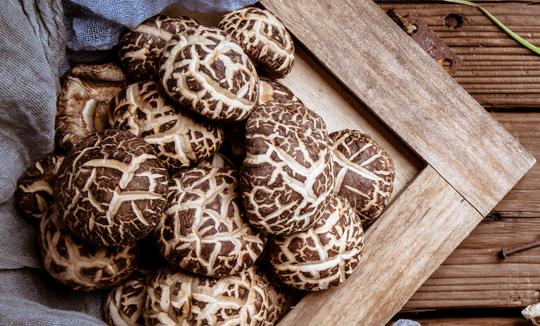 工厂化生产比例呈现上升趋势 2023年中国食用菌养殖行业发展分析