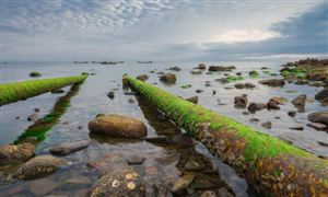 生态环境市场前景及行业发展空间2023